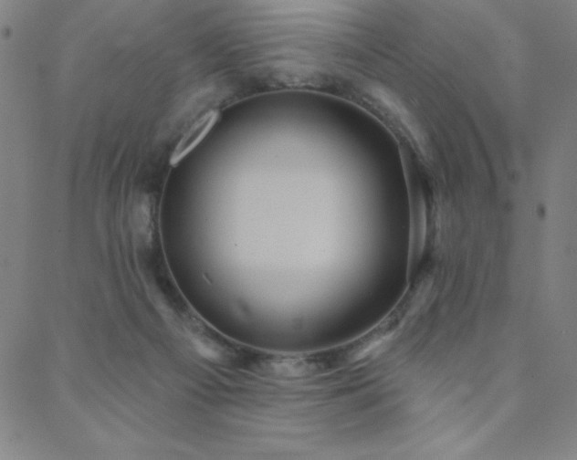 X0000088870121200706081225