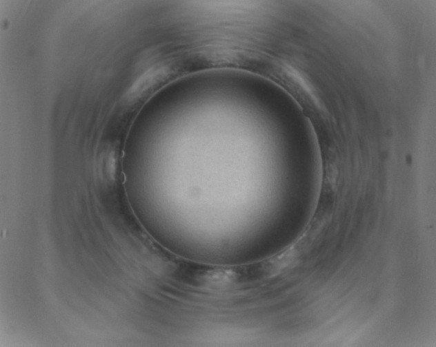 X0000088870124200706081225