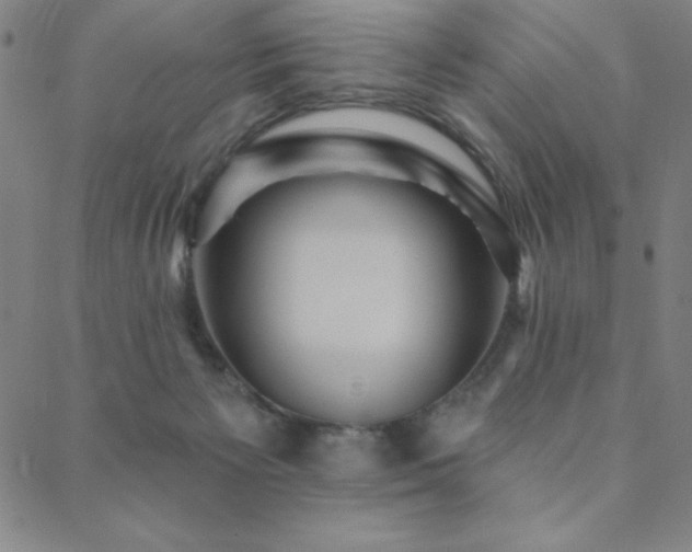 X0000088870125200706081225