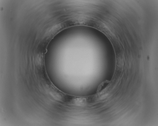 X0000088870126200706081225