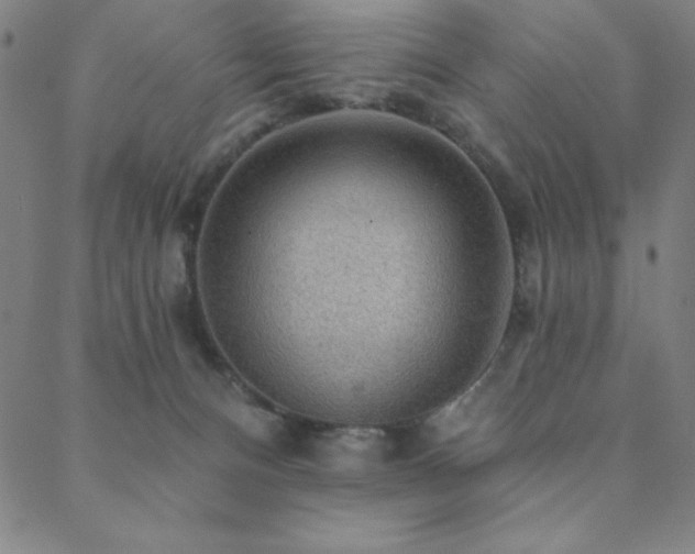 X0000088870128200706081225