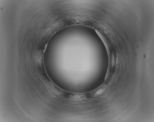 X0000088870129200706081225