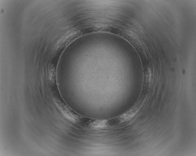 X0000088870138200706081225