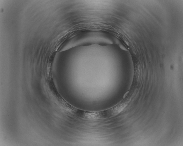 X0000088870139200706081225