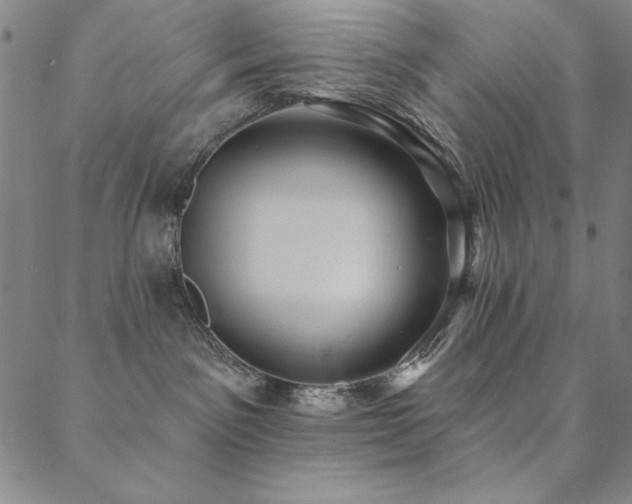 X0000088870141200706081225