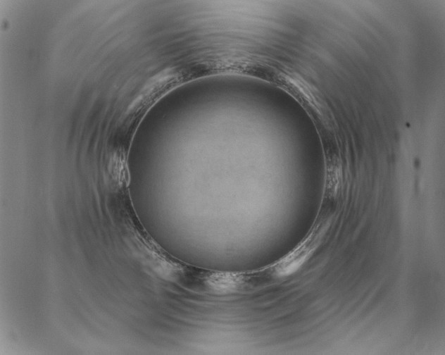 X0000088870142200706081225