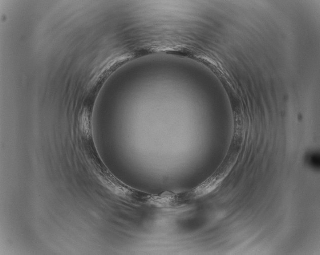 X0000088870143200706081225