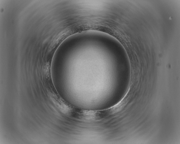 X0000088870144200706081225