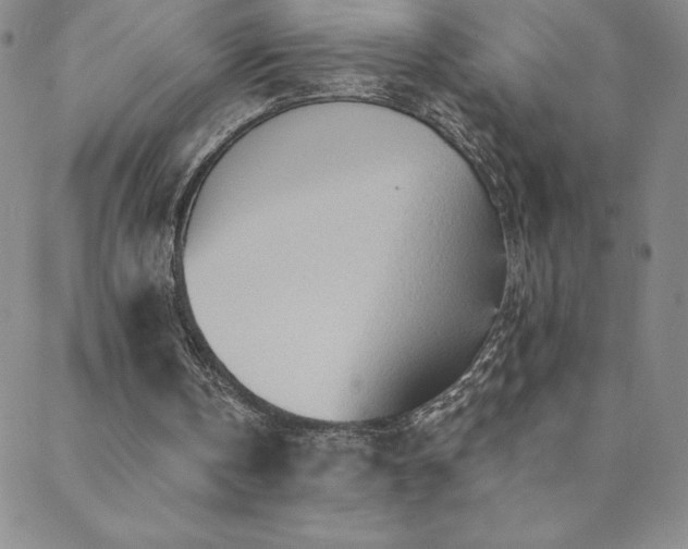 X0000088870146200706081224