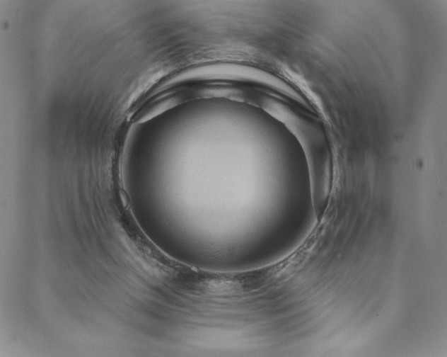 X0000088870154200706081224