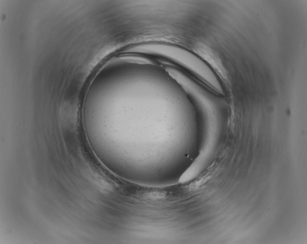 X0000088870156200706081224