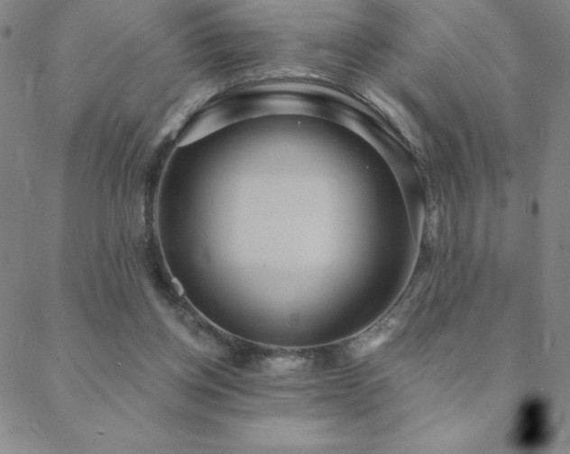 X0000088870158200706081224