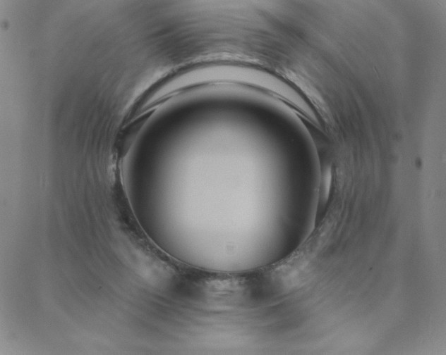 X0000088870160200706081224