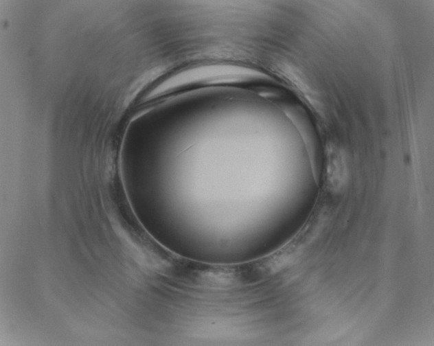 X0000088870164200706081224