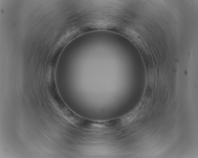 X0000088870167200706081224