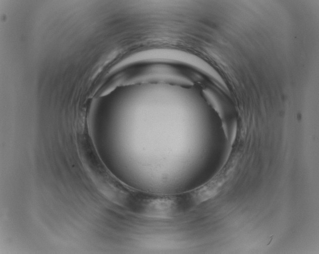 X0000088870168200706081224