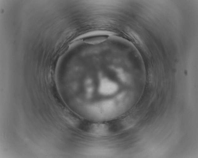 X0000088870169200706081224
