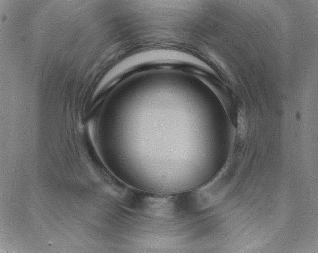 X0000088870170200706081224