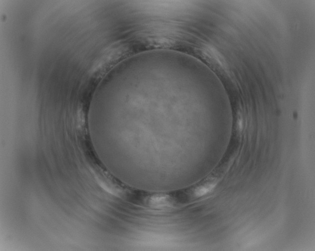 X0000088870173200706081224