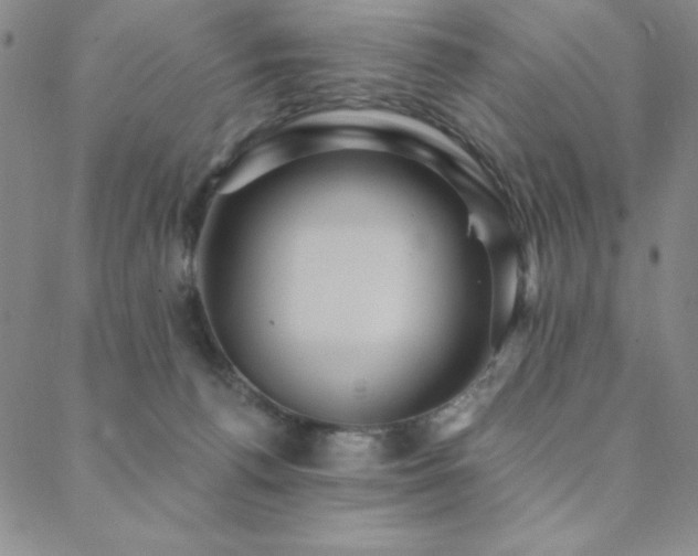 X0000088870176200706081224