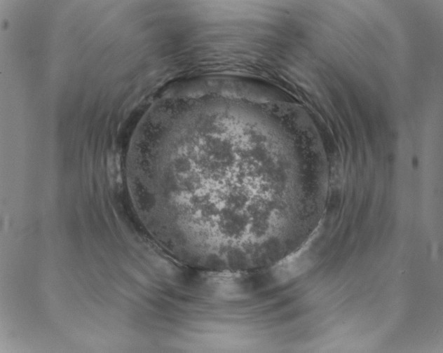 X0000088870182200706081225