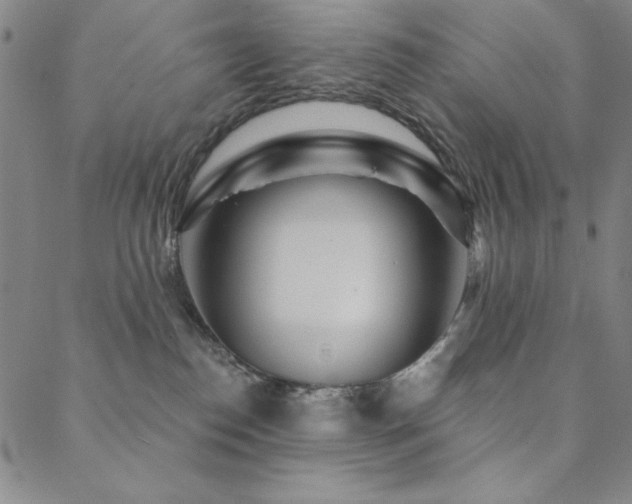 X0000088870186200706081225