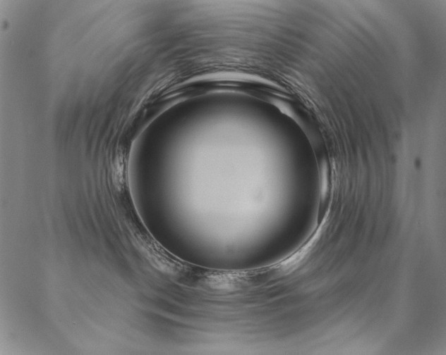X0000088870190200706081225