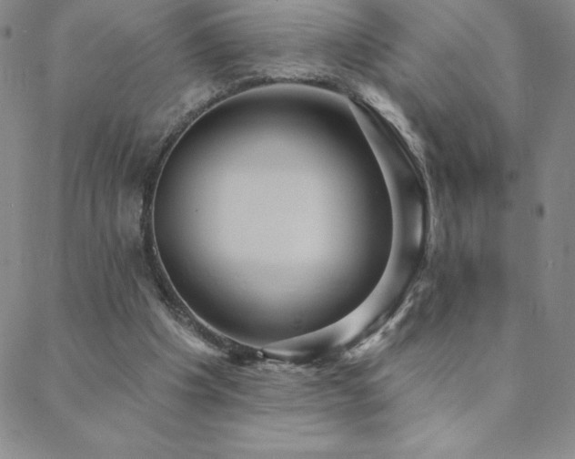 X0000088870201200706081224