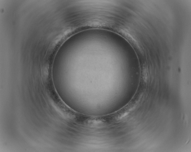 X0000088870208200706081224
