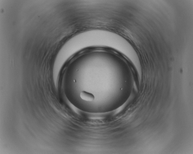 X0000088870215200706081224