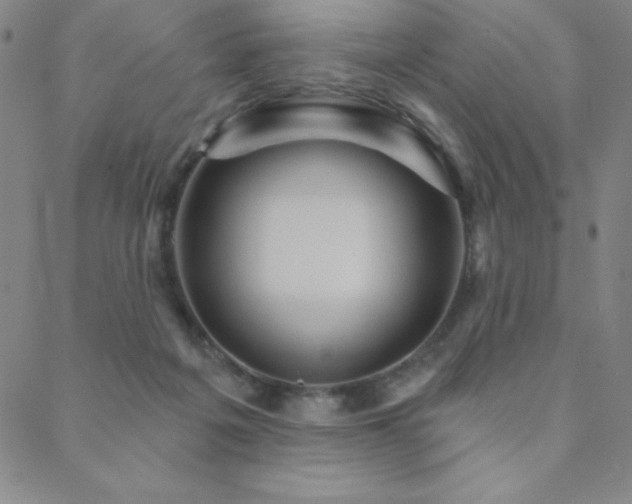 X0000088870217200706081224