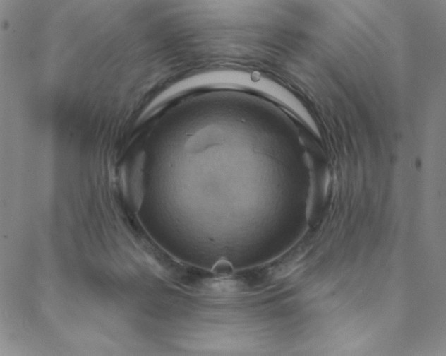 X0000088870219200706081223