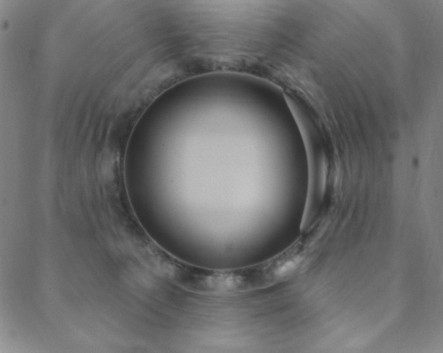 X0000088870225200706081223
