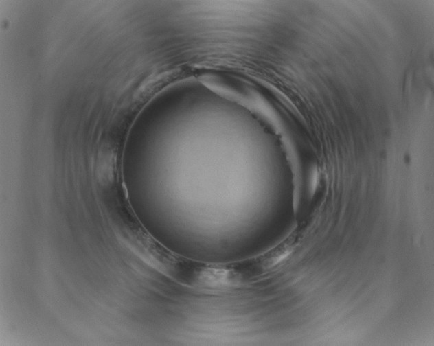 X0000088870227200706081223