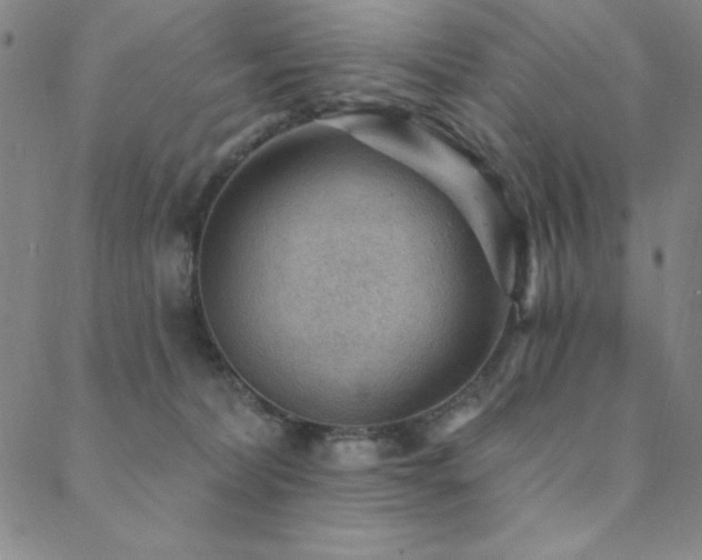X0000088870228200706081223