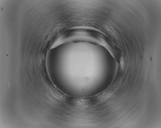 X0000088870229200706081223