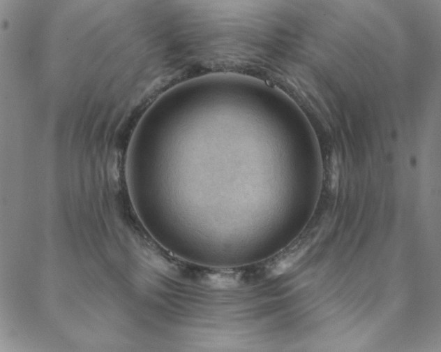 X0000088870232200706081223