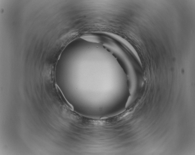 X0000088870233200706081223