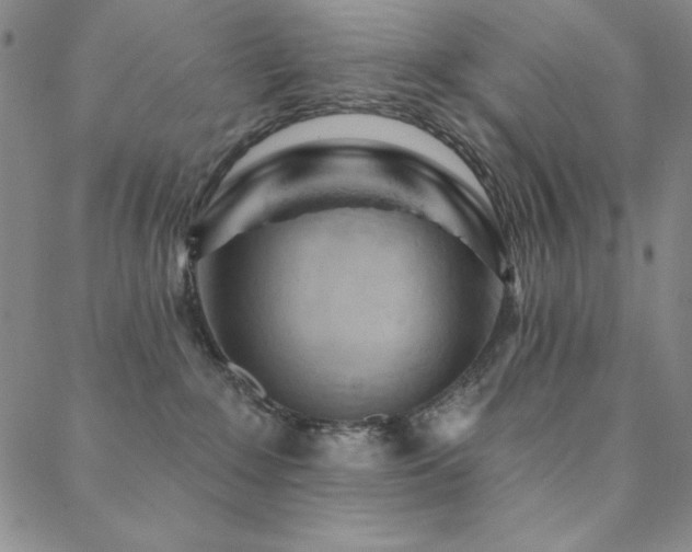 X0000088870235200706081223