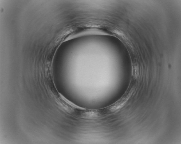 X0000088870237200706081223
