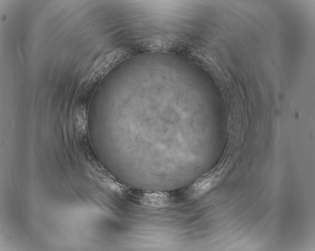X0000088870240200706081223