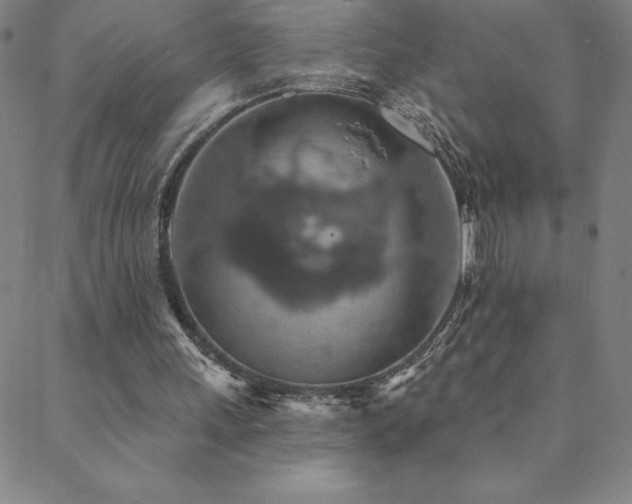 X0000088870243200706081222