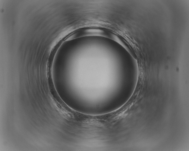 X0000088870244200706081222