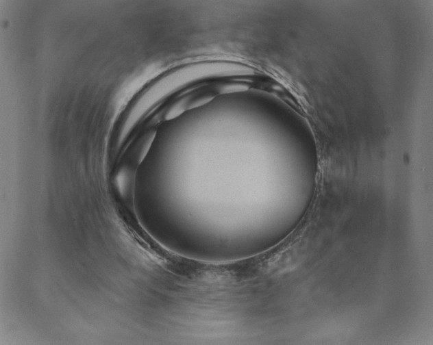 X0000088870248200706081222