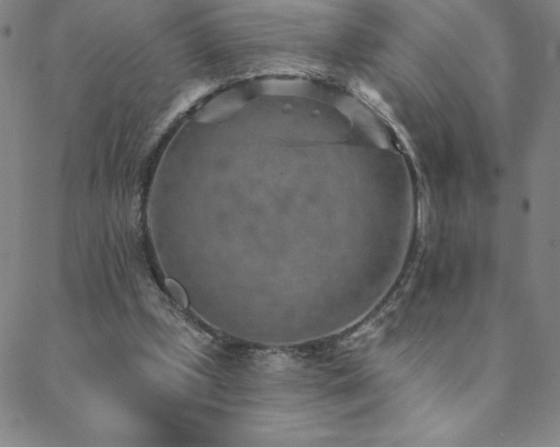 X0000088870249200706081222