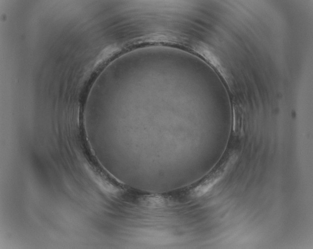 X0000088870253200706081223