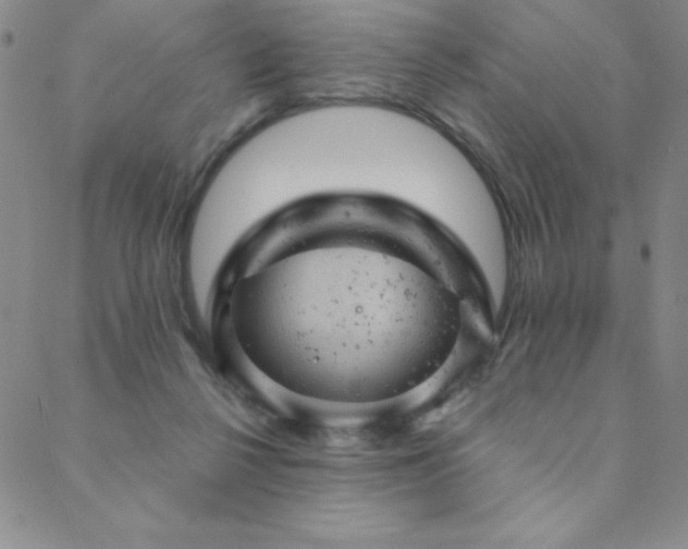 X0000088870264200706081223