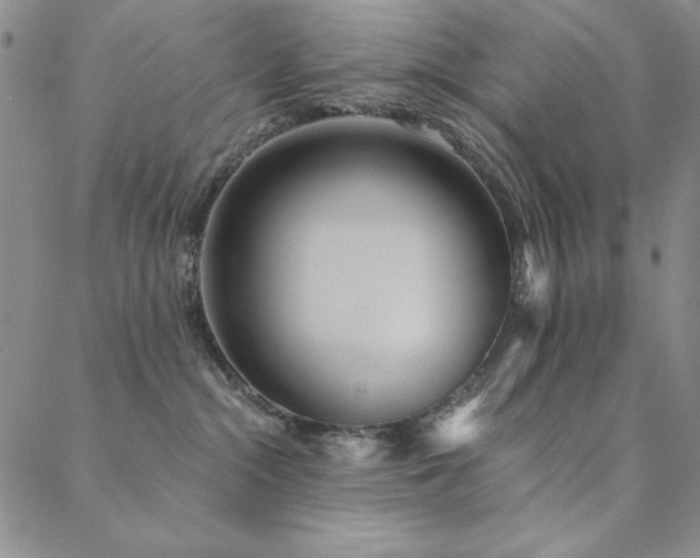 X0000088870284200706081223