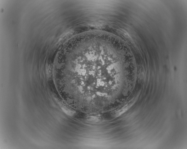 X0000088870285200706081223