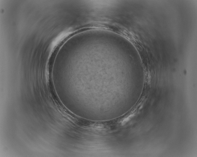 X0000088870294200706081222